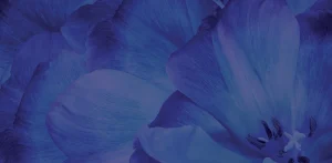 luck in bloom background
