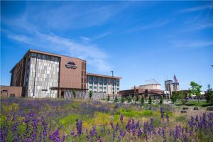 Modern brick and glass building with an American flag, seen behind a foreground of purple wildflowers under a blue sky.