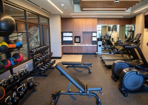 A modern gym with treadmills along the back wall and free weights on the left, plus a bench and weight machines in the foreground.