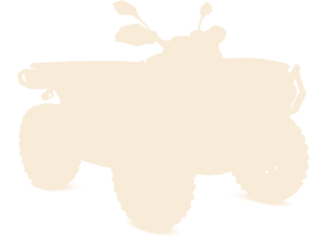 Solid beige background (uniform color block)