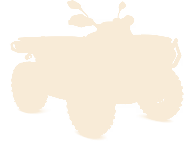 Solid beige background (uniform color block)