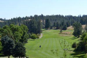 Wide view of a sunny golf course with green fairways, trees on hills, and a clear blue sky.