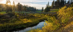 Sunlit park scene with a small bridge over a winding river and pine trees.
