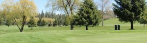 Wide view of a sunny golf course with trimmed fairways, green grass, and scattered trees.