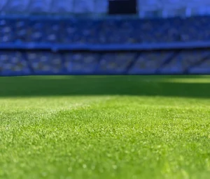 Blurred stadium scene: green grass field in the foreground with blue seating in the background, out of focus.