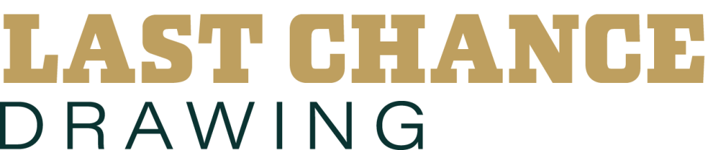 Banner with two-line text reading 'LAST CHANCE' in gold and 'DRAWING' in dark teal.